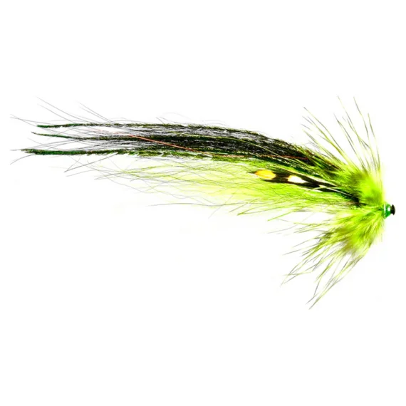 sportfishtackle202606040024592565035