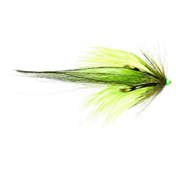 sportfishtackle202606040025572565278