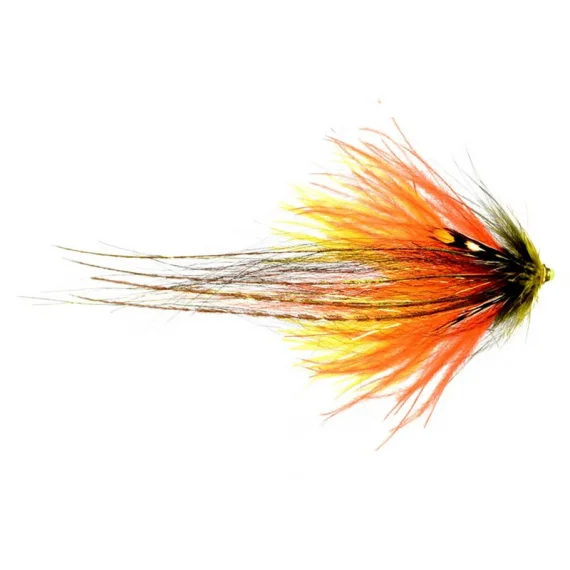 sportfishtackle202606040029152566098