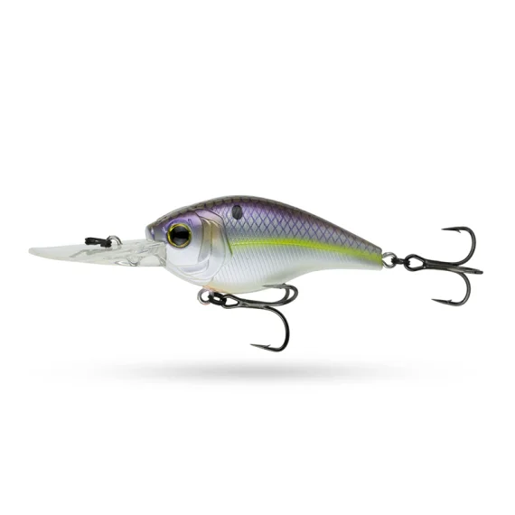 sportfishtackle202606040031142566605