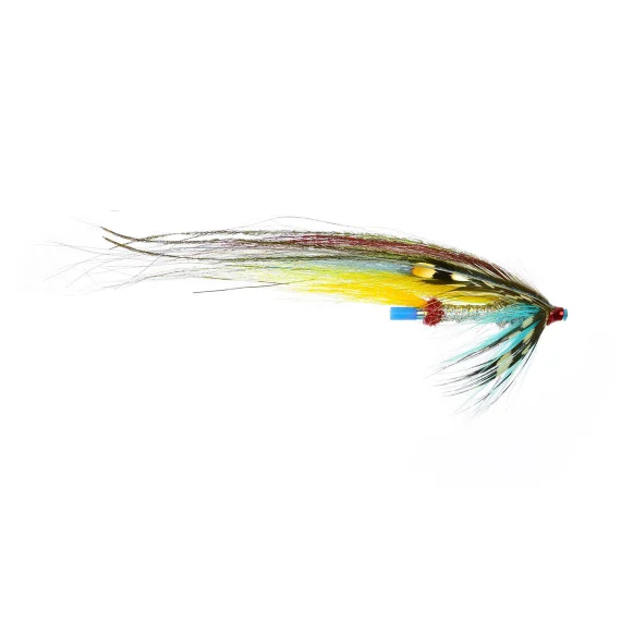 sportfishtackle202606040043022569546