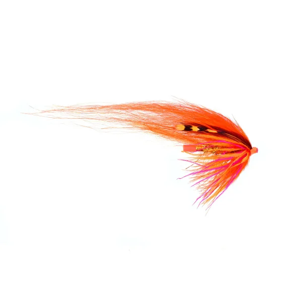 sportfishtackle202606040054302572469