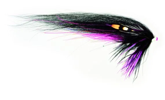 sportfishtackle202606040054542572564
