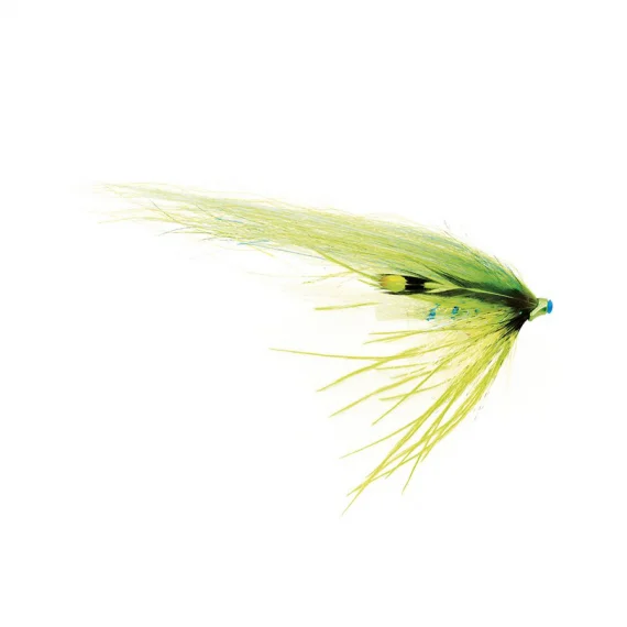 sportfishtackle202606040055022572598
