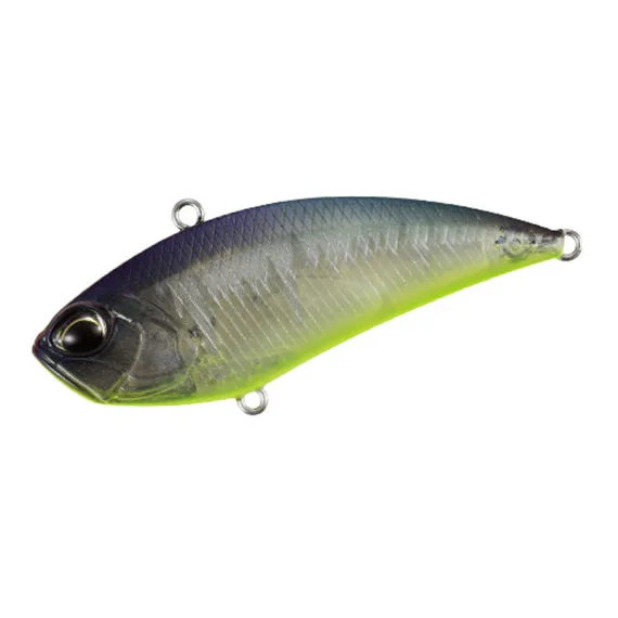 sportfishtackle202606040101402574200