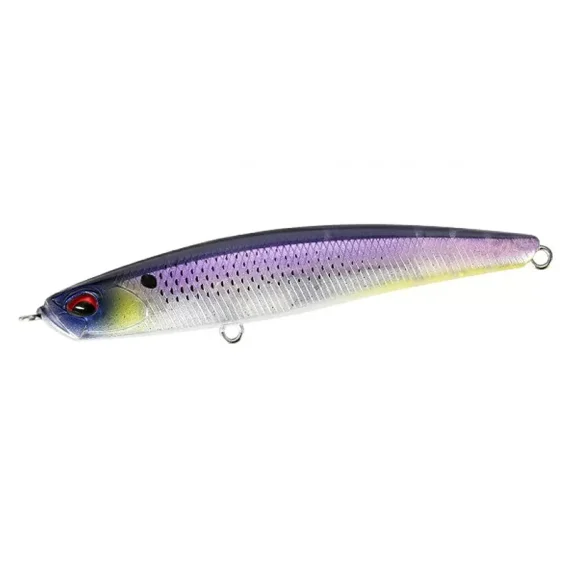 sportfishtackle202606040101582574271