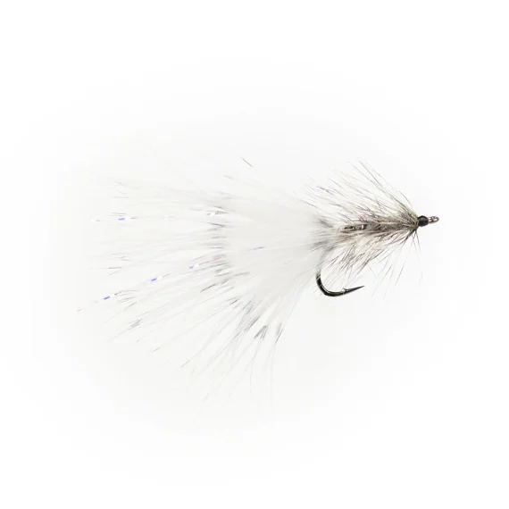 sportfishtackle202606040120052578619