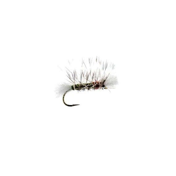 sportfishtackle202606040120462578775