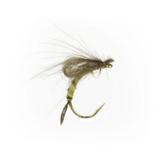 sportfishtackle202606040122022579080