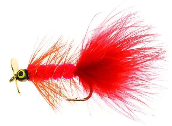 sportfishtackle202606040134242582238