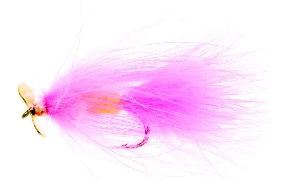 sportfishtackle202606040134322582276