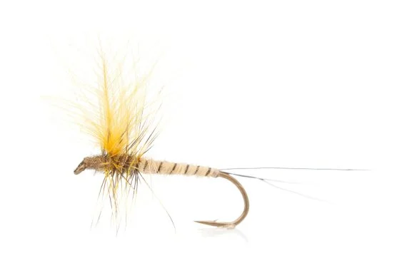 sportfishtackle202606040135222582495
