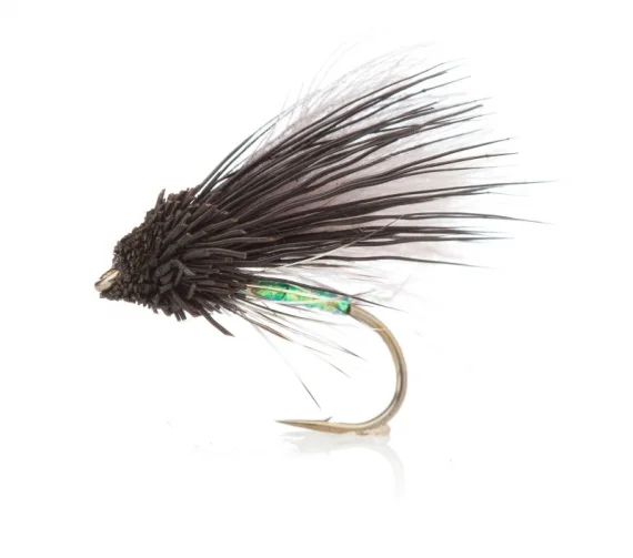sportfishtackle202606040135222582498