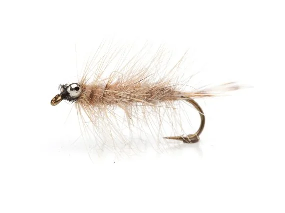 sportfishtackle202606040135302582532