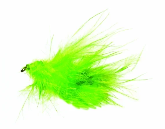sportfishtackle202606040135332582544