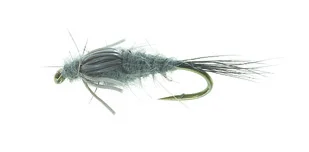 sportfishtackle202606040136592582923