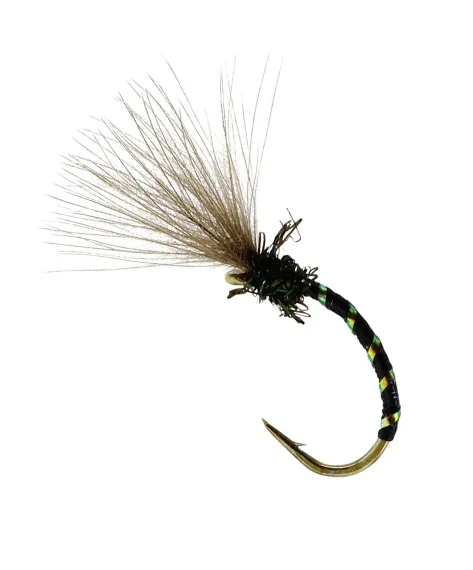 sportfishtackle202606040137112582977