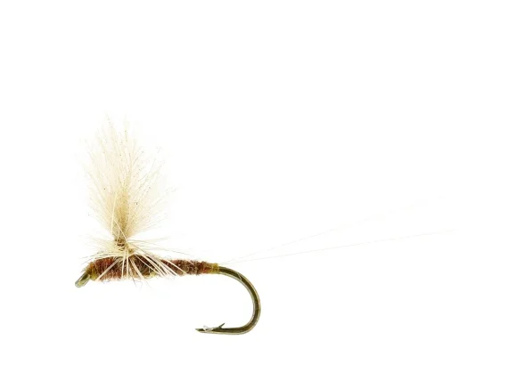 sportfishtackle202606040137142582986