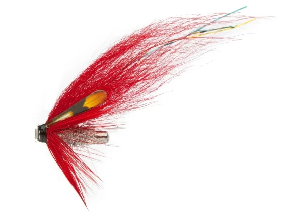 sportfishtackle202606040138062583218