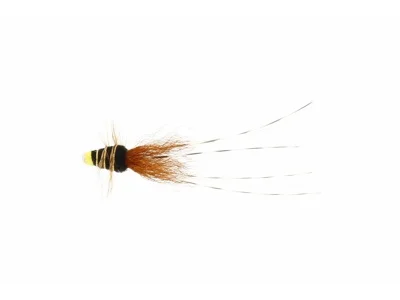 sportfishtackle202606040138202583272