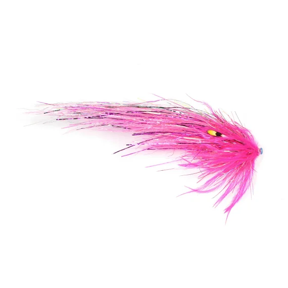 sportfishtackle202606040144122584740