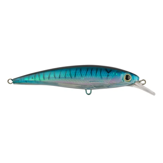 sportfishtackle202606040146512585410