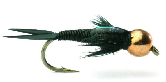 sportfishtackle202606040150412586350