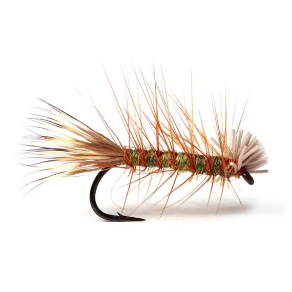 sportfishtackle202606040151242586539