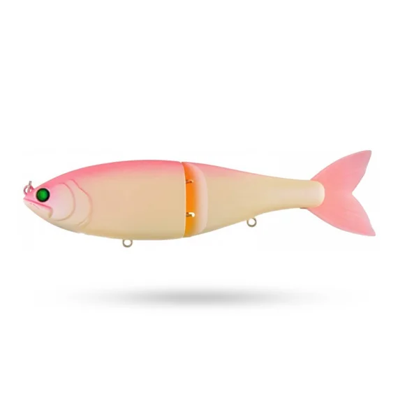 sportfishtackle202606040151582586682