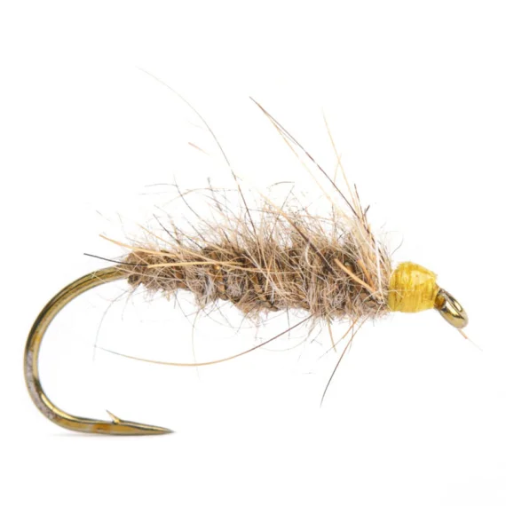 sportfishtackle202606040205122590092