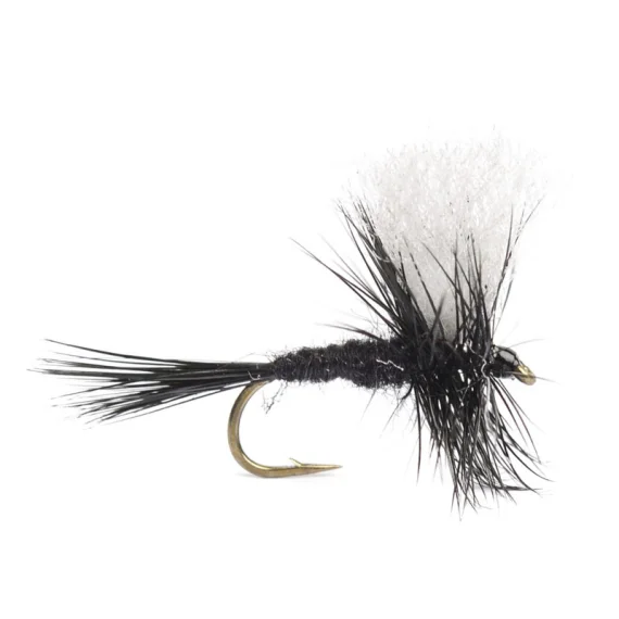 sportfishtackle202606040205582590289