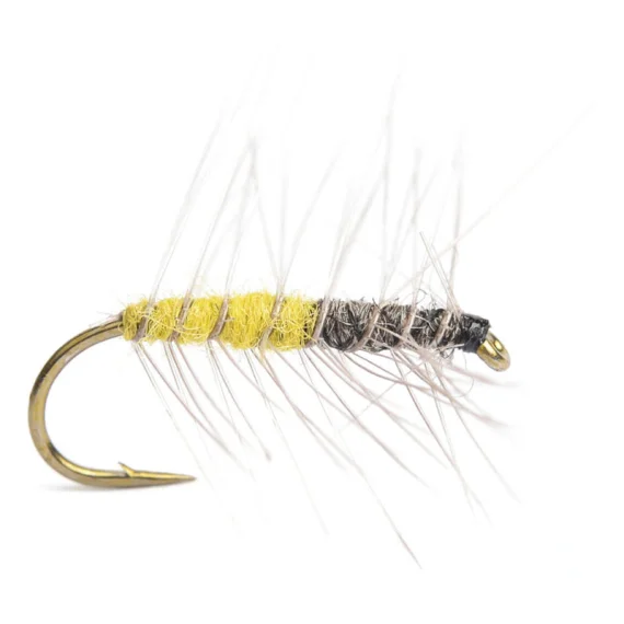 sportfishtackle202606040206132590355