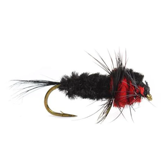 sportfishtackle202606040206272590420
