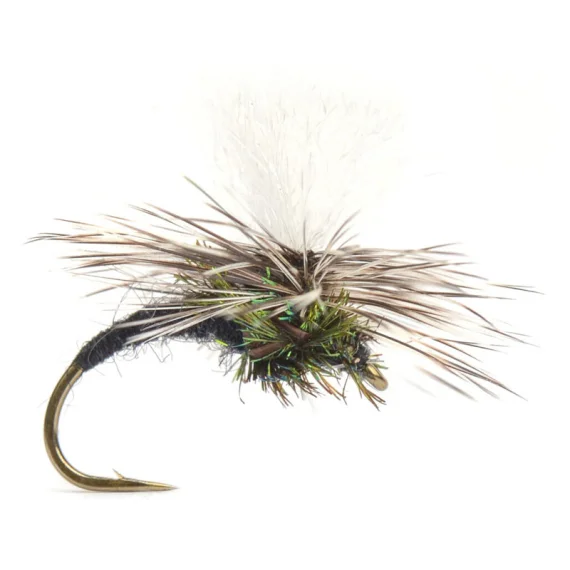 sportfishtackle202606040207032590570