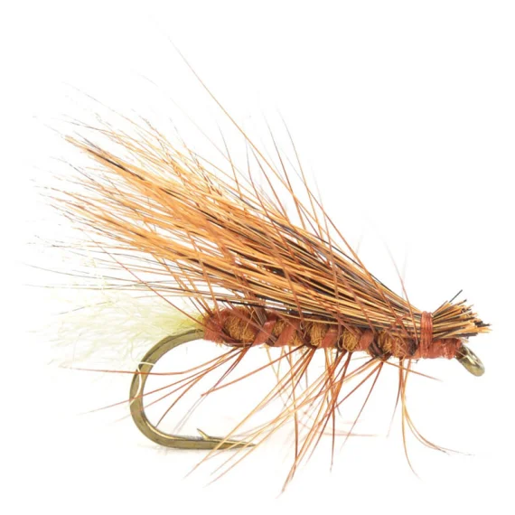 sportfishtackle202606040207222590648