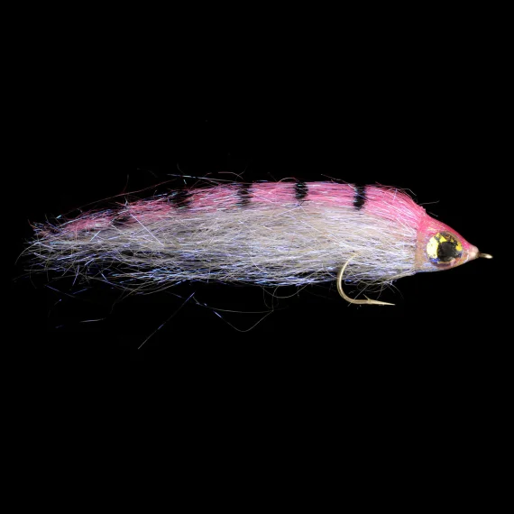 sportfishtackle202606040209252591167