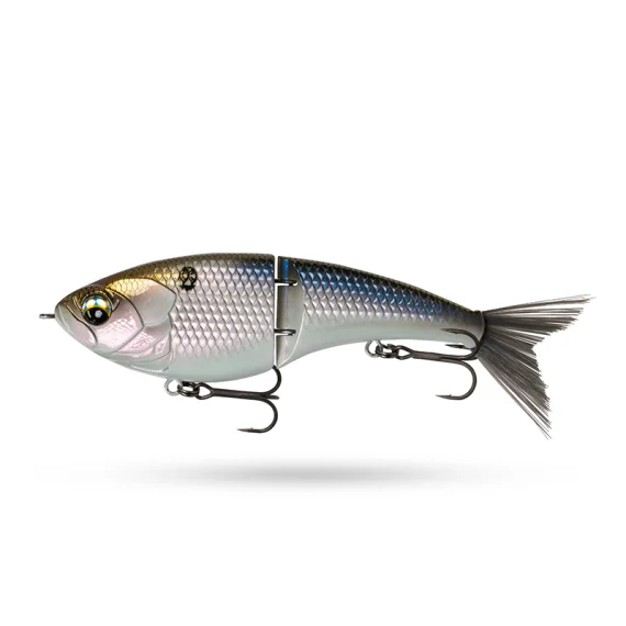 sportfishtackle202606040222252594477
