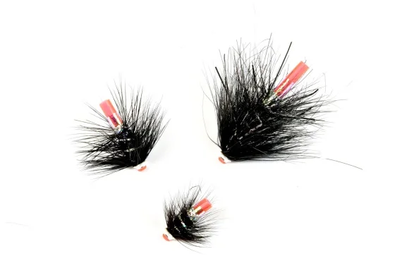 sportfishtackle202606040237562598406