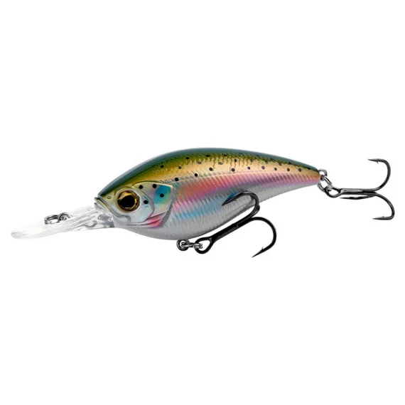 sportfishtackle202606040243332599887