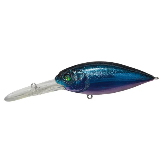 sportfishtackle202606040252292602211