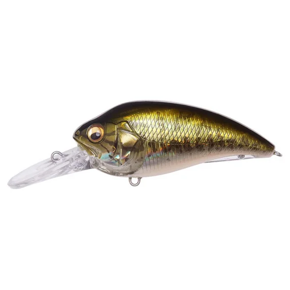 sportfishtackle202606040253052602367