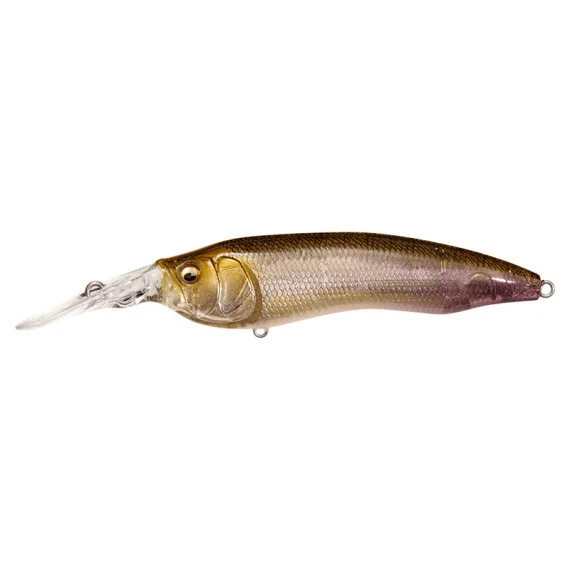 sportfishtackle202606040254082602635