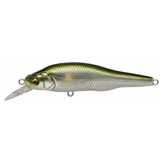 sportfishtackle202606040255182602872