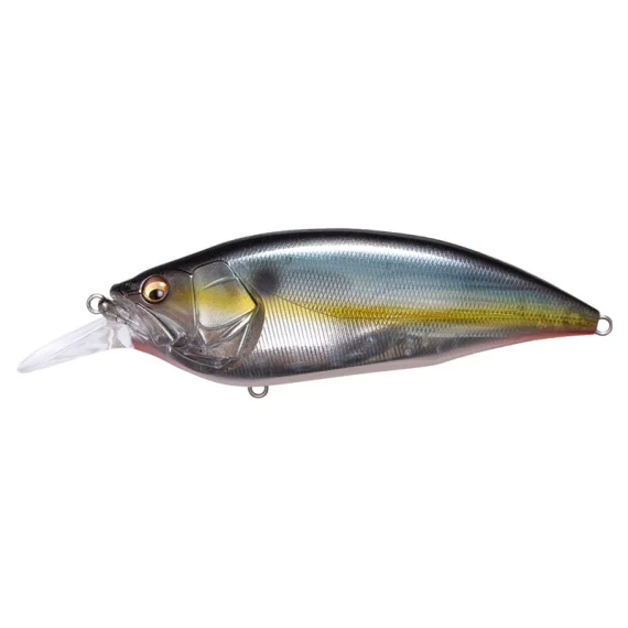 sportfishtackle202606040255222602881