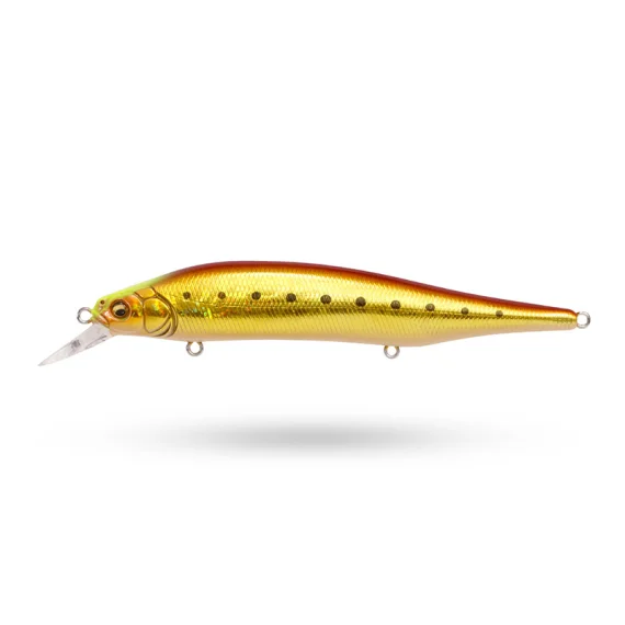 sportfishtackle202606040255312602907