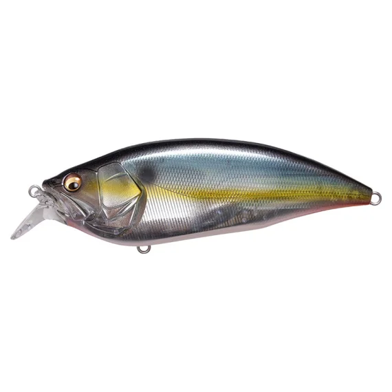 sportfishtackle202606040255372602923