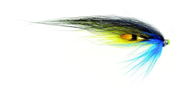 sportfishtackle202606040301292603962