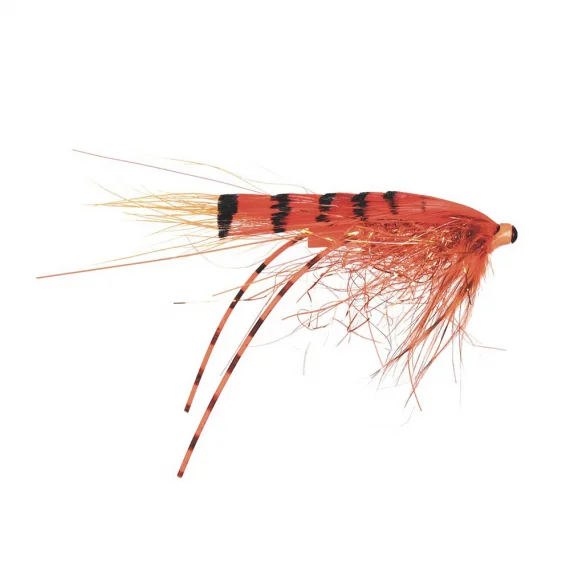sportfishtackle202606040301332603971