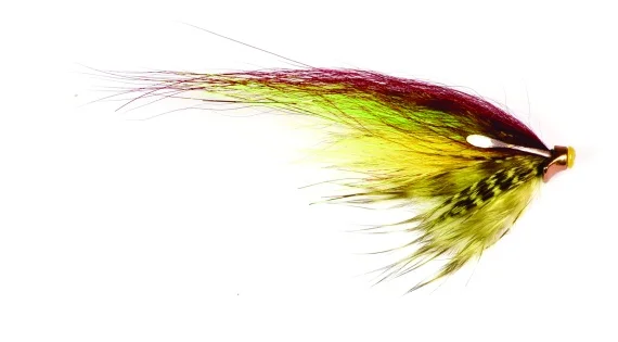 sportfishtackle202606040301442604000