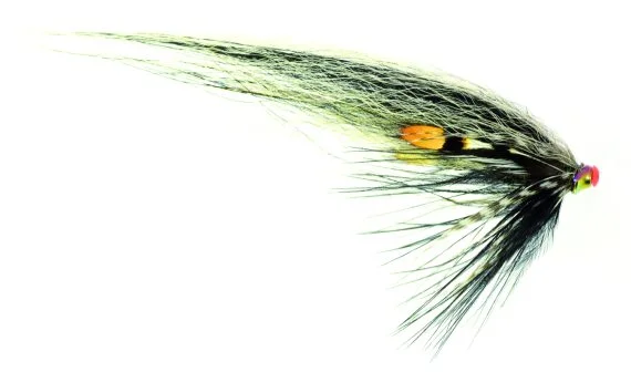 sportfishtackle202606040301572604037